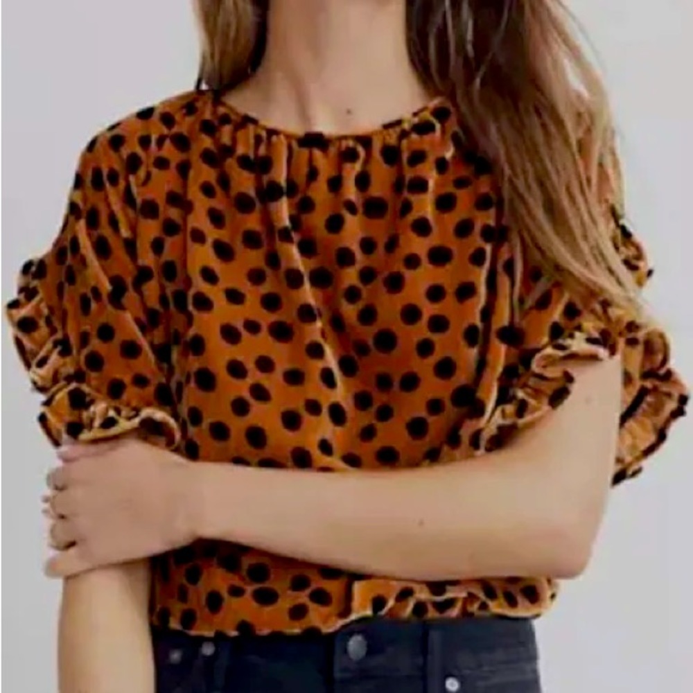 Madewell Velvet Memento Ruffle Sleeve Top